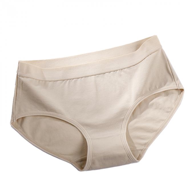 Do roupa interior positivo do tamanho da menina por atacado das mulheres 