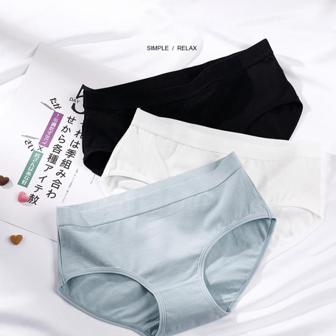 Do roupa interior positivo do tamanho da menina por atacado das mulheres 
