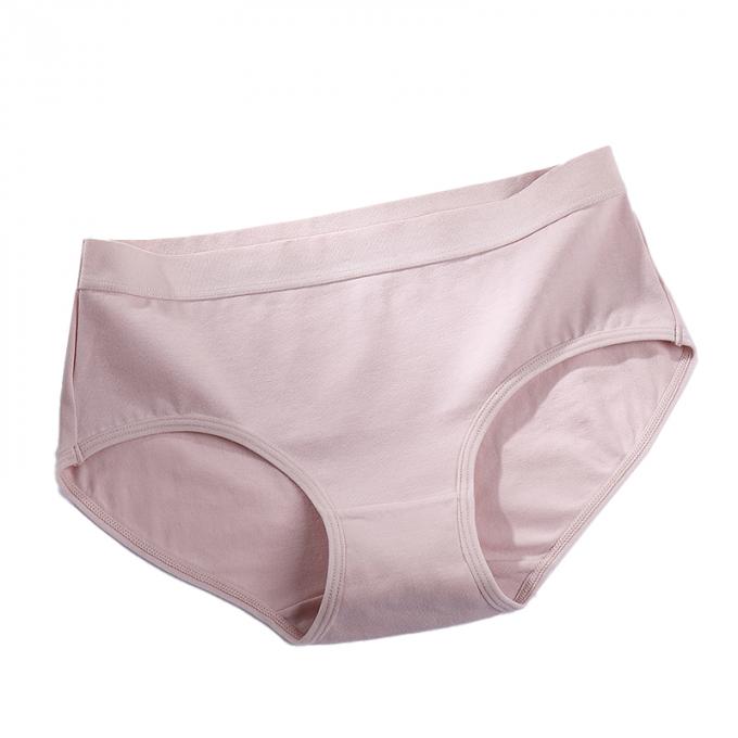 Do roupa interior positivo do tamanho da menina por atacado das mulheres 