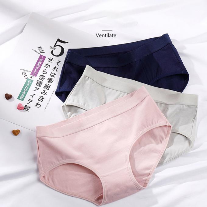 Do roupa interior positivo do tamanho da menina por atacado das mulheres 