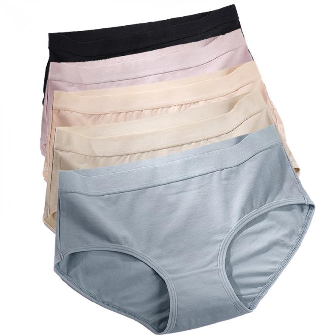 Do roupa interior positivo do tamanho da menina por atacado das mulheres 