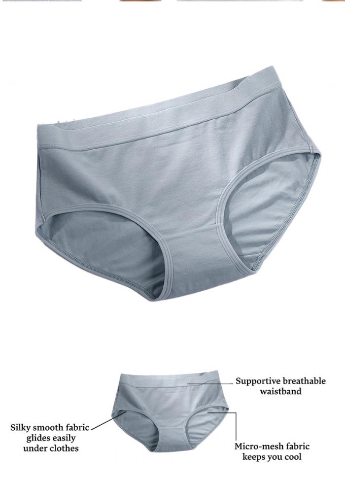 Do roupa interior positivo do tamanho da menina por atacado das mulheres 