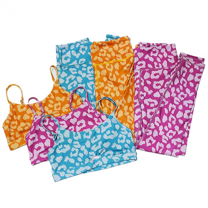 Equipamento do exercício de Logo Women feito sob encomenda caneleiras sem emenda da ioga de 2 partes com roupa 